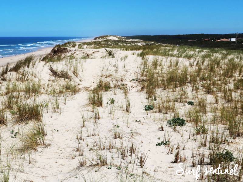 Photo du spot Hourtin Plage à Hourtin : Surf report et prévisions de vagues en temps réel