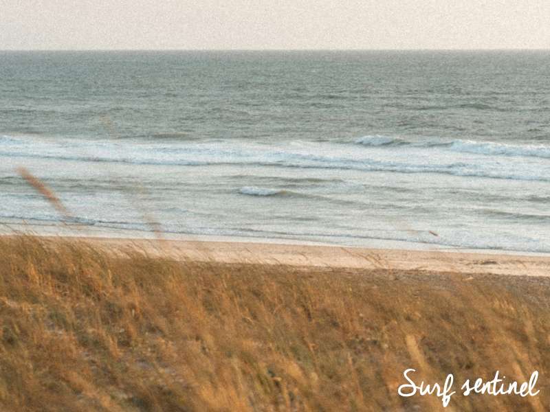Photo du spot Super Sud (Jah Point) à Lacanau : Surf report et prévisions de vagues en temps réel