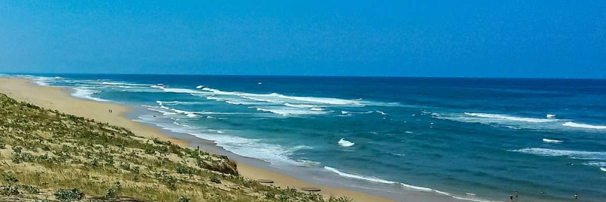 Le spot de la semaine : Météo surf La Dune (Messanges) (Du 20/01/2025 au 26/01/2025)