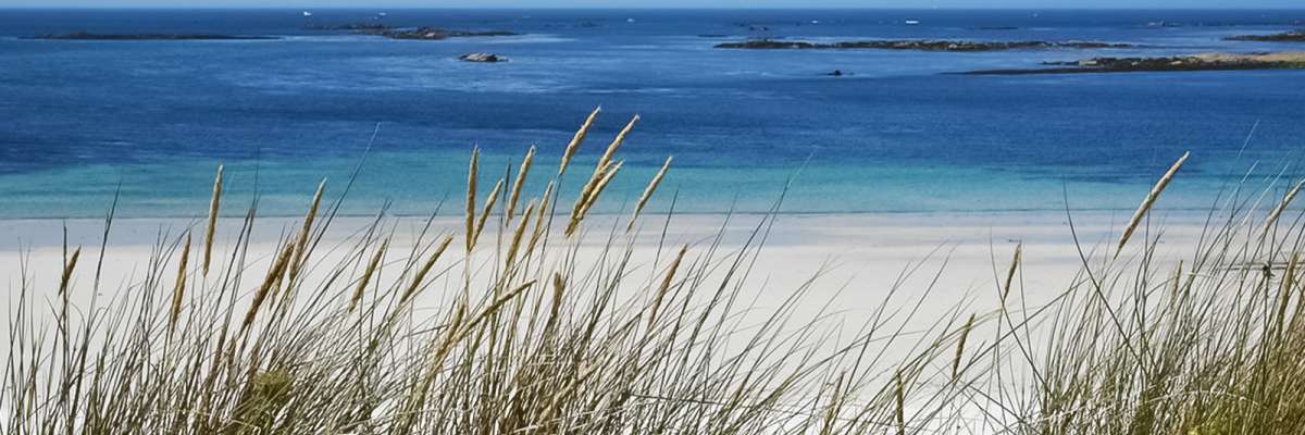 Le spot de la semaine : Météo surf Coulouarn (Plage Danvad) (Du 14/10/2024 au 20/10/2024)