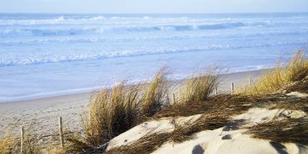 Surf infos : Le spot de la semaine : Météo surf Carcans Plage (Du 25/05/2026 au 31/05/2026)