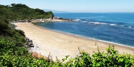 Surf infos : Le spot de la semaine : Météo surf Cenitz (Du 03/08/2026 au 09/08/2026)