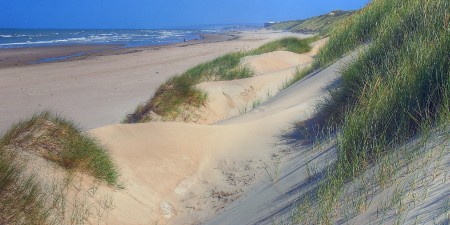 Météo des vagues et surf report sur le spot de surf de Le Touquet à Le Touquet-Paris-Plage, Pas-de-Calais