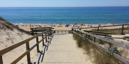Météo des vagues et surf report sur le spot de surf de Cap De l'Homy à Lit-et-Mixe, Landes